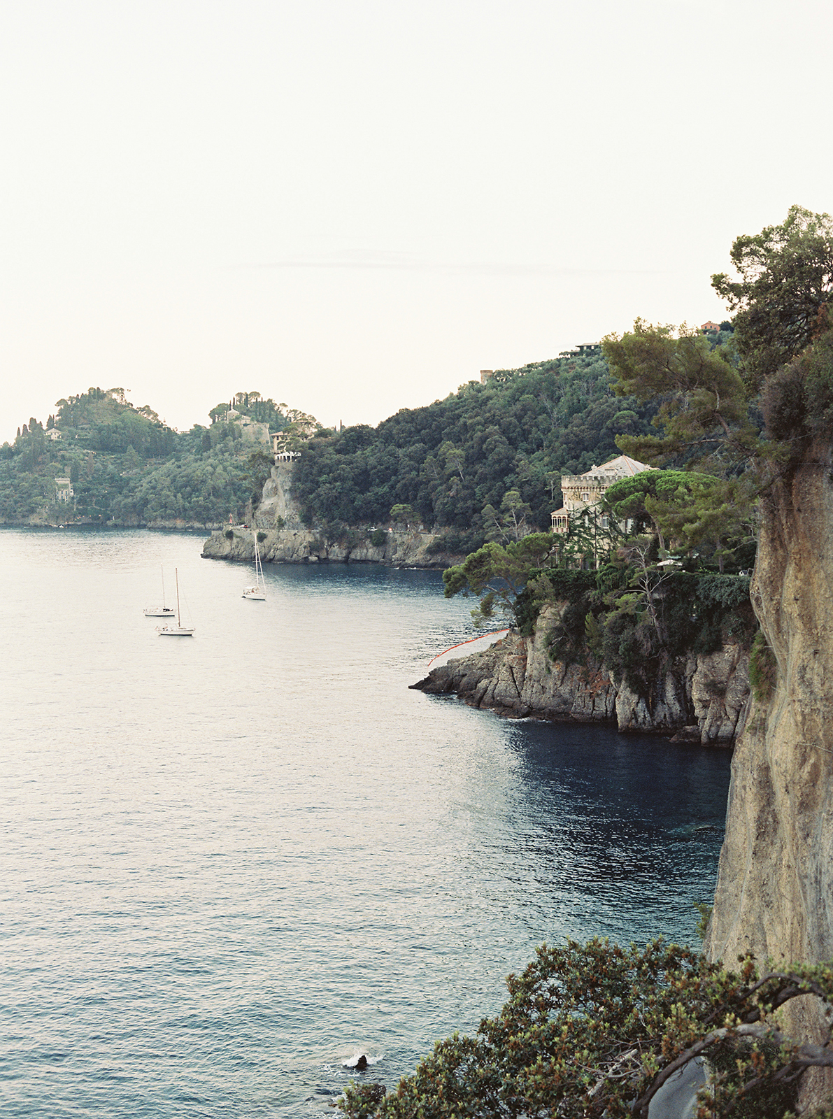 Scenic coastal view near La Cervara Abbey in Portofino, Italy, featuring cliffs, trees, and the Ligurian Sea