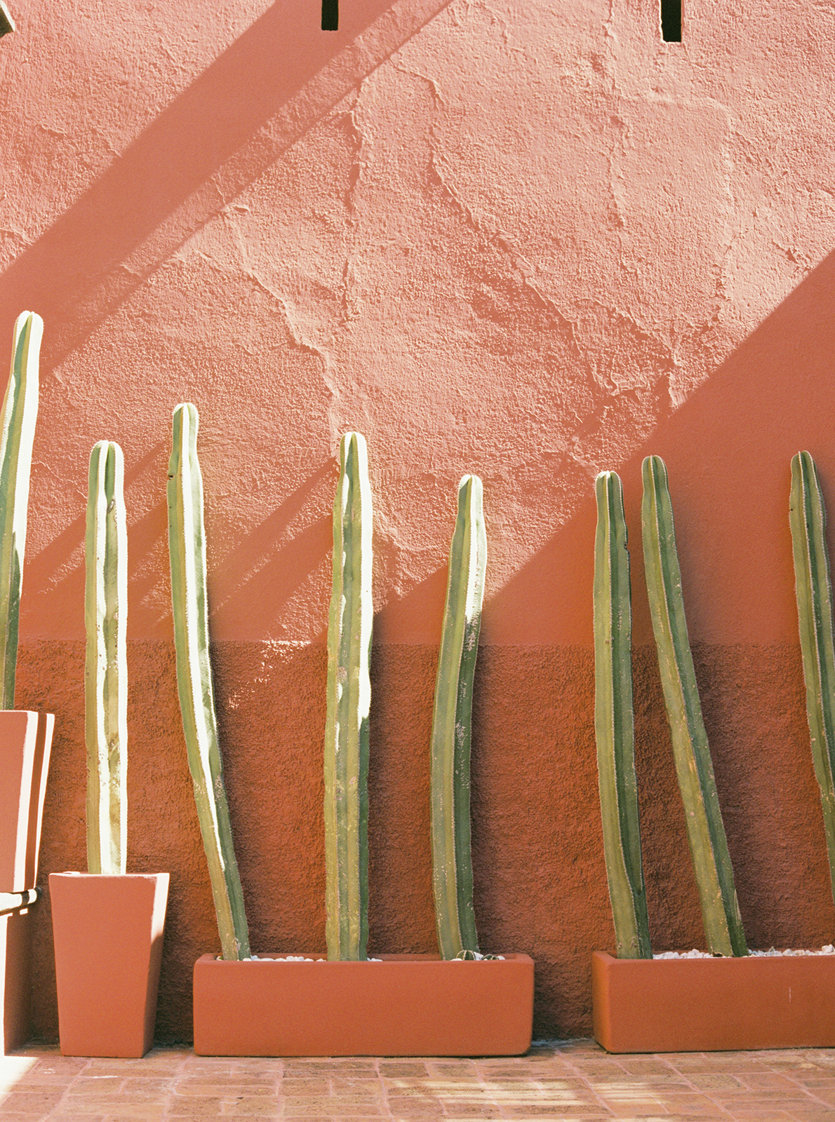 Cactus courtyard at Casa de Sierra Nevada Belmond Hotel in San Miguel de Allende