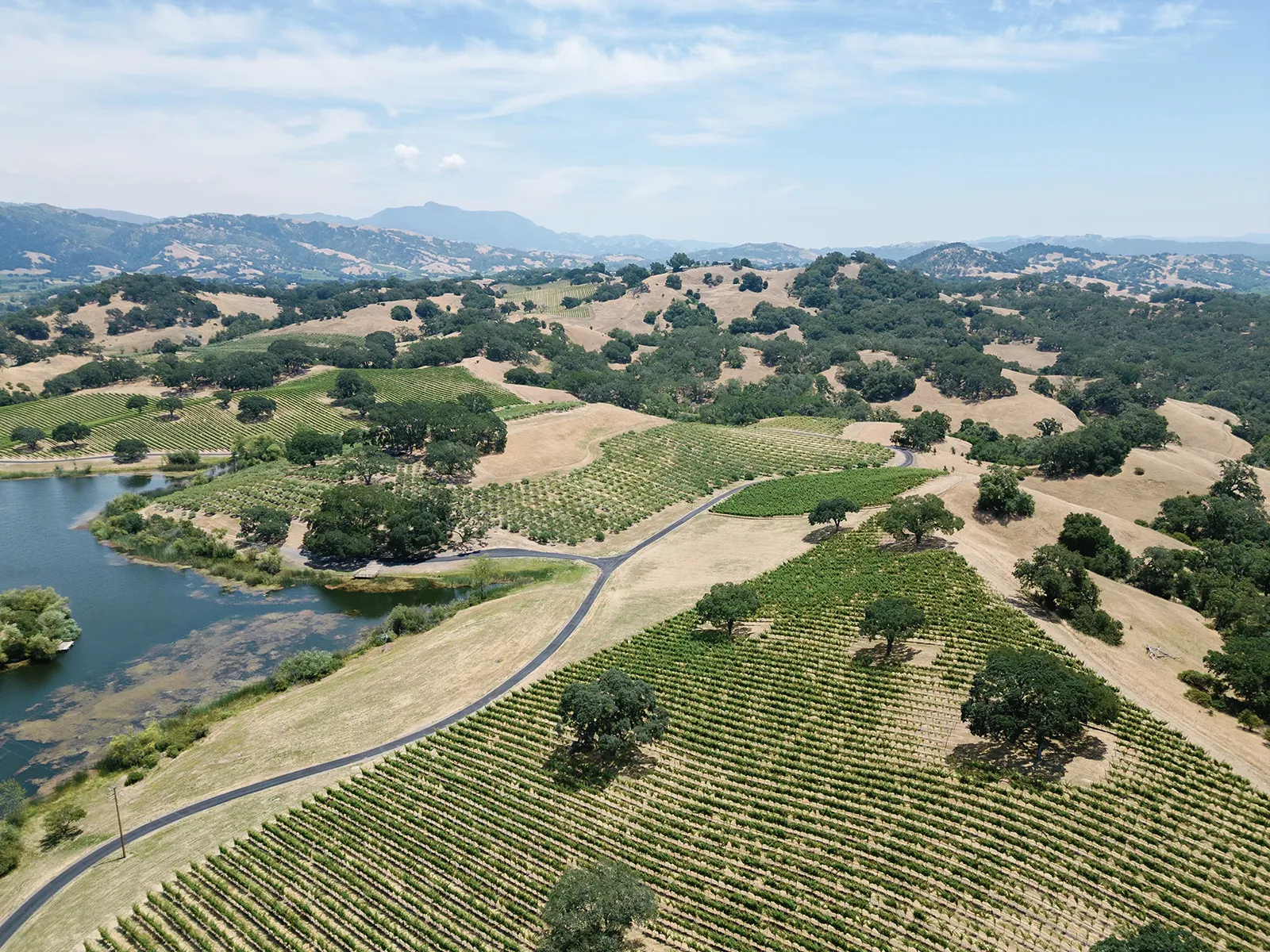 Aerial view of rolling vineyards, oak trees, and hills surrounding Montage Healdsburg in Northern California