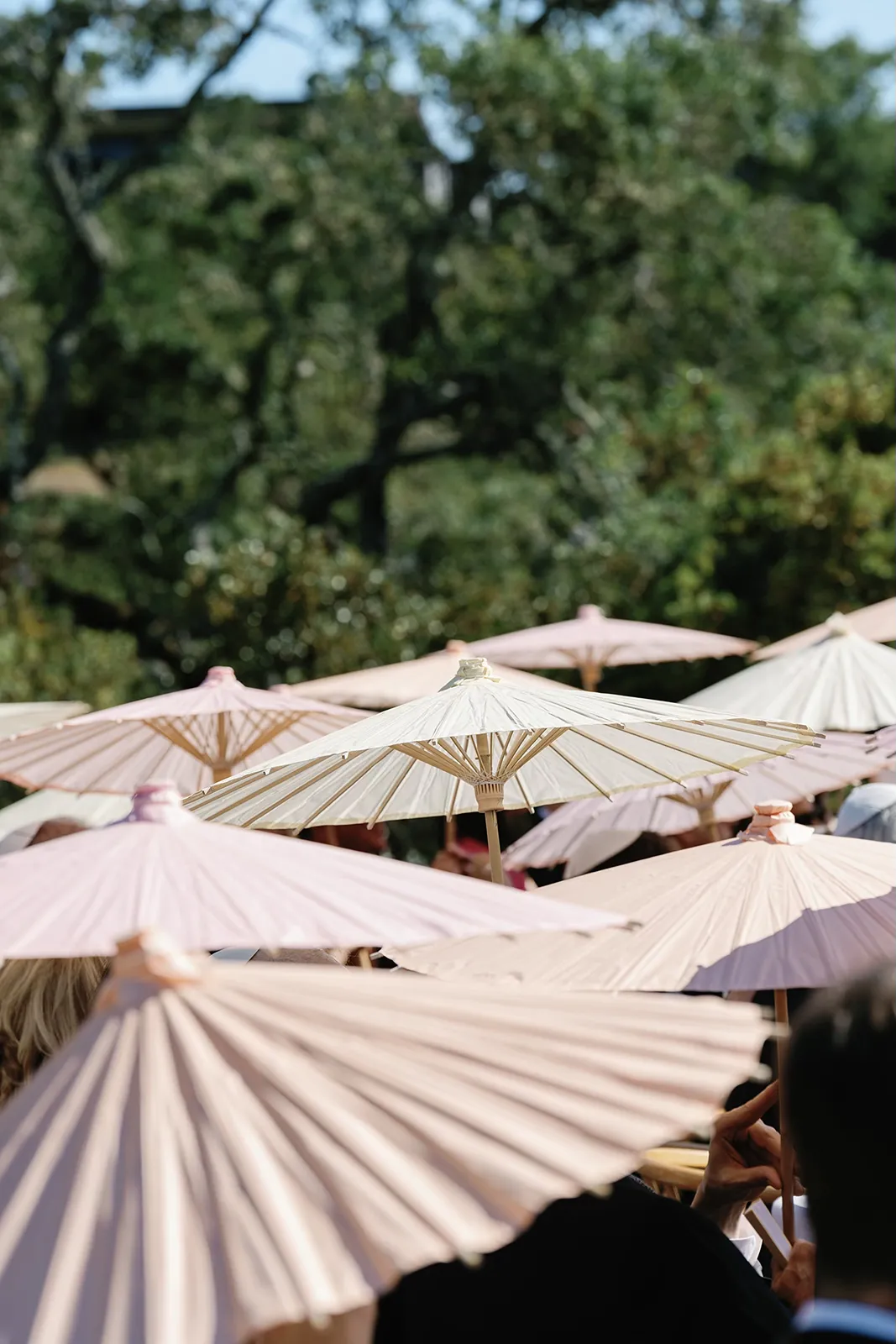 pink parasols being used by wedding guests during ceremony
