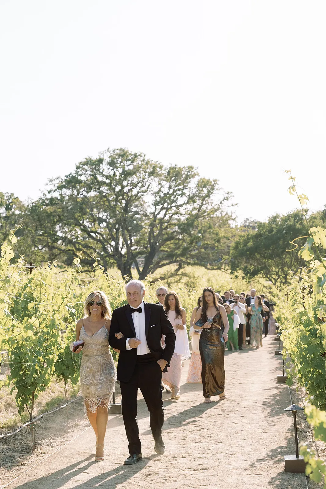 guests making their way to the reception through the vineyards