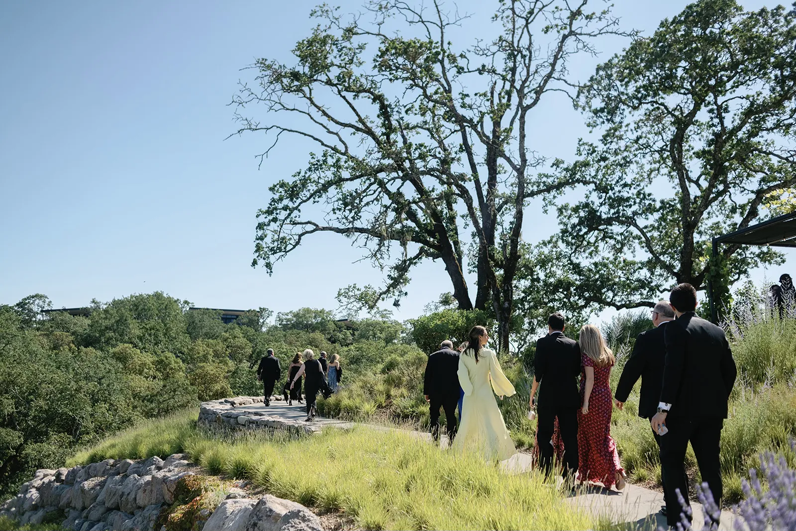 Wedding guests walking along a landscaped path toward the ceremony location with hillside views