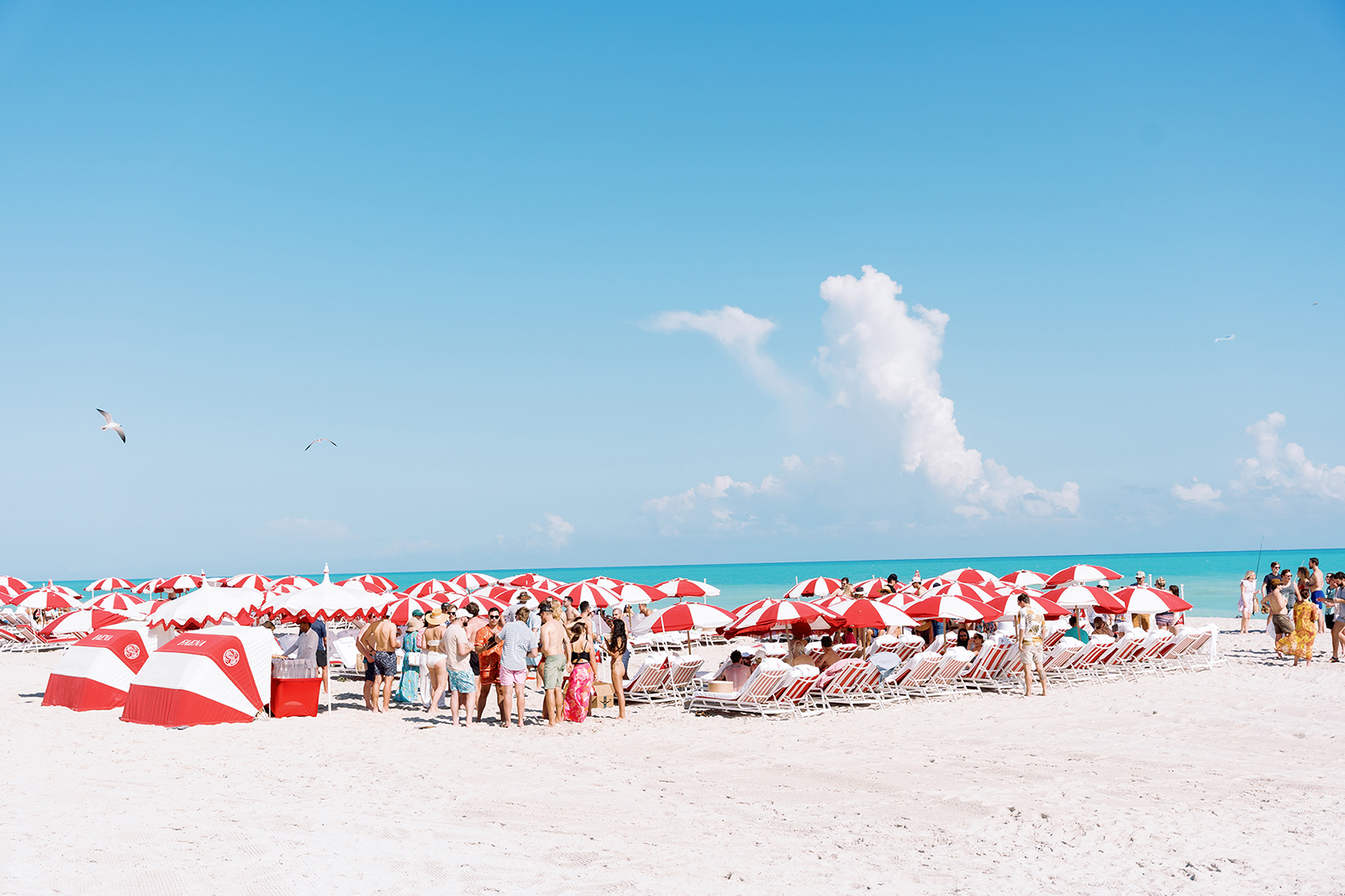 Wide oceanfront view of wedding guests mingling on the sand during a destination wedding weekend
