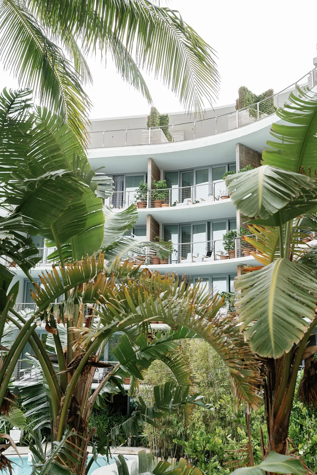 Palm trees surrounding the Miami Beach EDITION hotel exterior, wedding weekend setting in Miami Beach