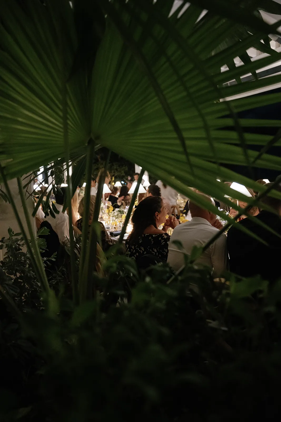 wedding reception guests