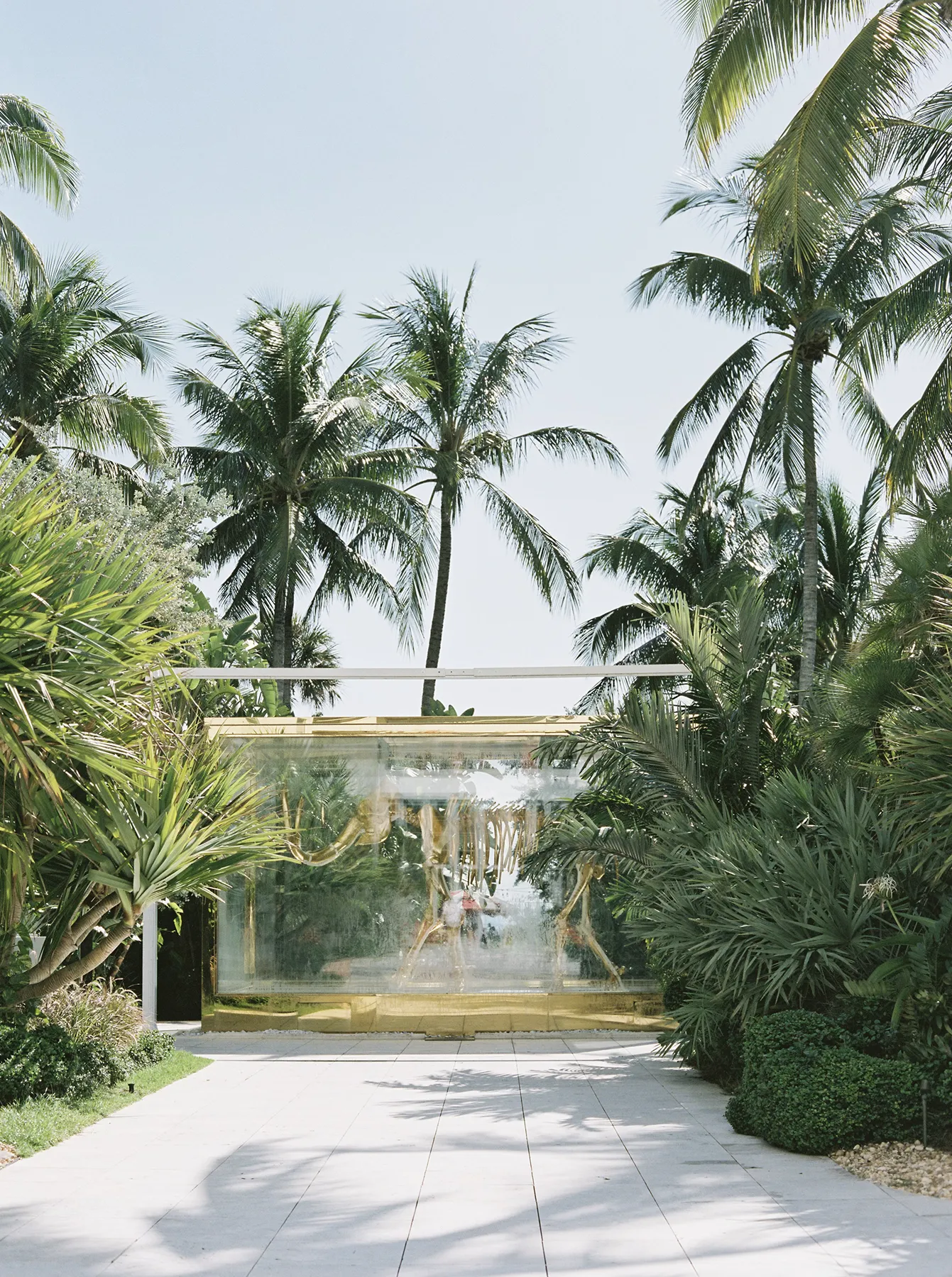 famous golden mammoth in the faena hotel